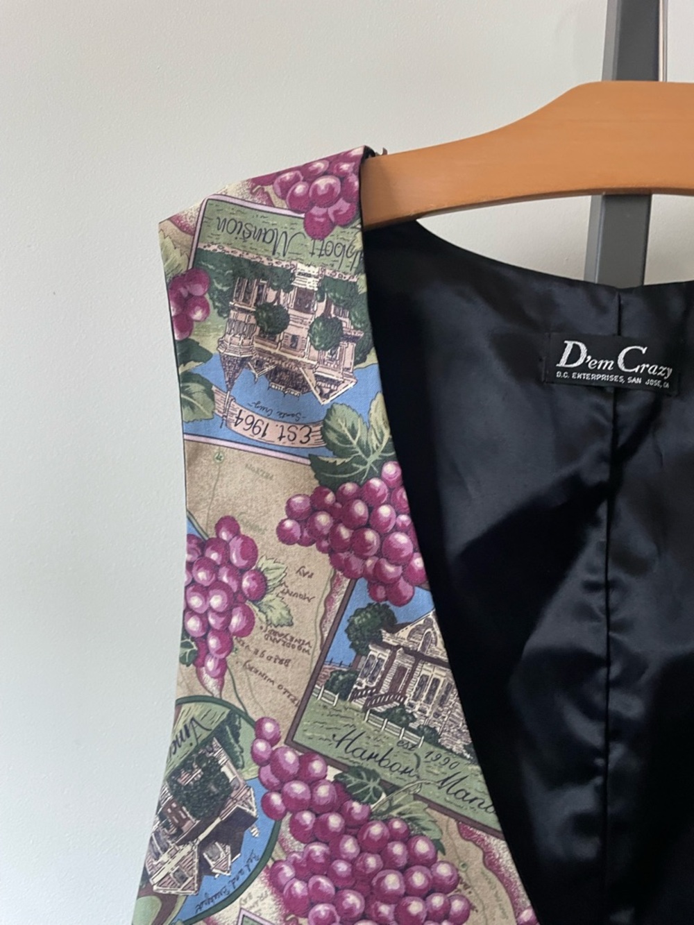 90s Vintage Dem Crazy Grape Print Vest Waistcoat Fruit Vineyard Wine Orchard - Picture 3 of 6